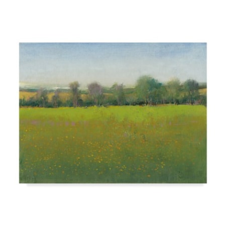 Tim Otoole 'Verdant Countryside I' Canvas Art,14x19